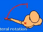 <p>La rotation latérale ou exorotation de la scapulo-humérale</p>