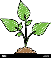 <p>Biogeneza</p>