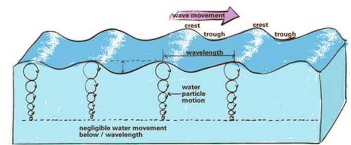 <p>Small undulations on the water surface that are <strong><em>generated by wind</em></strong></p><p>Propagate through water away from source</p><p>Modifies shorelines when they break</p>