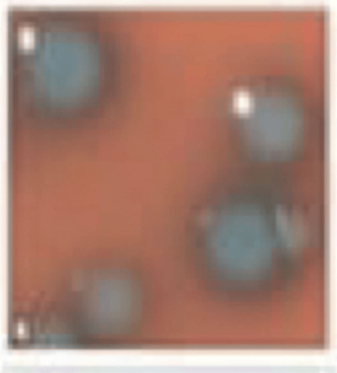 <p>with the rapid L-mono media, we see these results. what bacteria is this?</p>