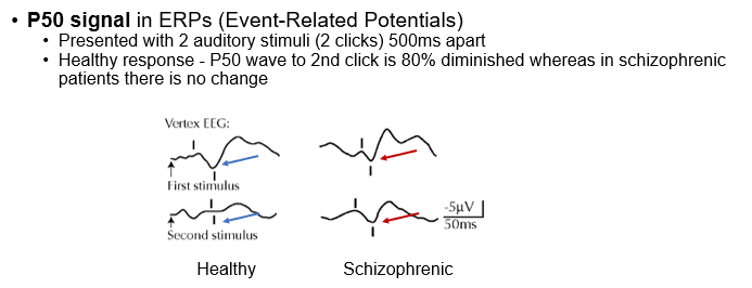 <ul><li><p>difficulties screening out irrelevant </p></li><li><p>pre-pulse inhibition (PPI)</p></li><li><p>when a weak stimulus precedes a startle stimulus by approx. 100ms, the normal response is to inhibit the startle </p></li><li><p>people with schizophrenia do not inhibit the startle </p></li></ul>