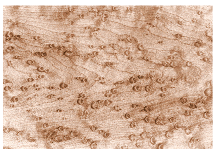 <p>what does this irregular wood grain indicate </p>