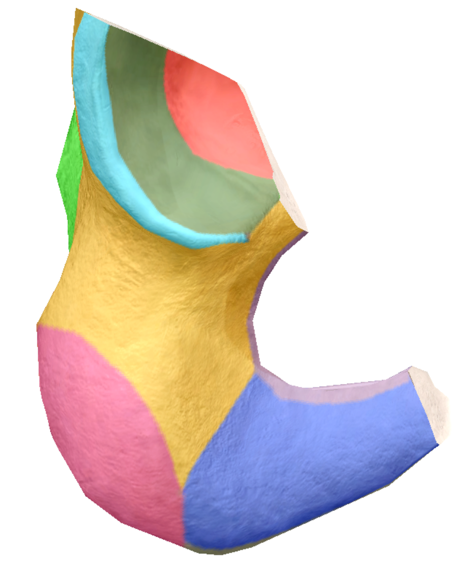 term image