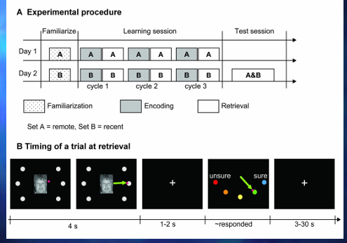 <p>dag 1 seet herinneringen </p><p>dag 2 andere, vervolgens </p><p></p><p>getoetst door elkaar heen » wat gebeurd er over de tijd heen</p><p>zijn ze anders opgeslagen?</p>
