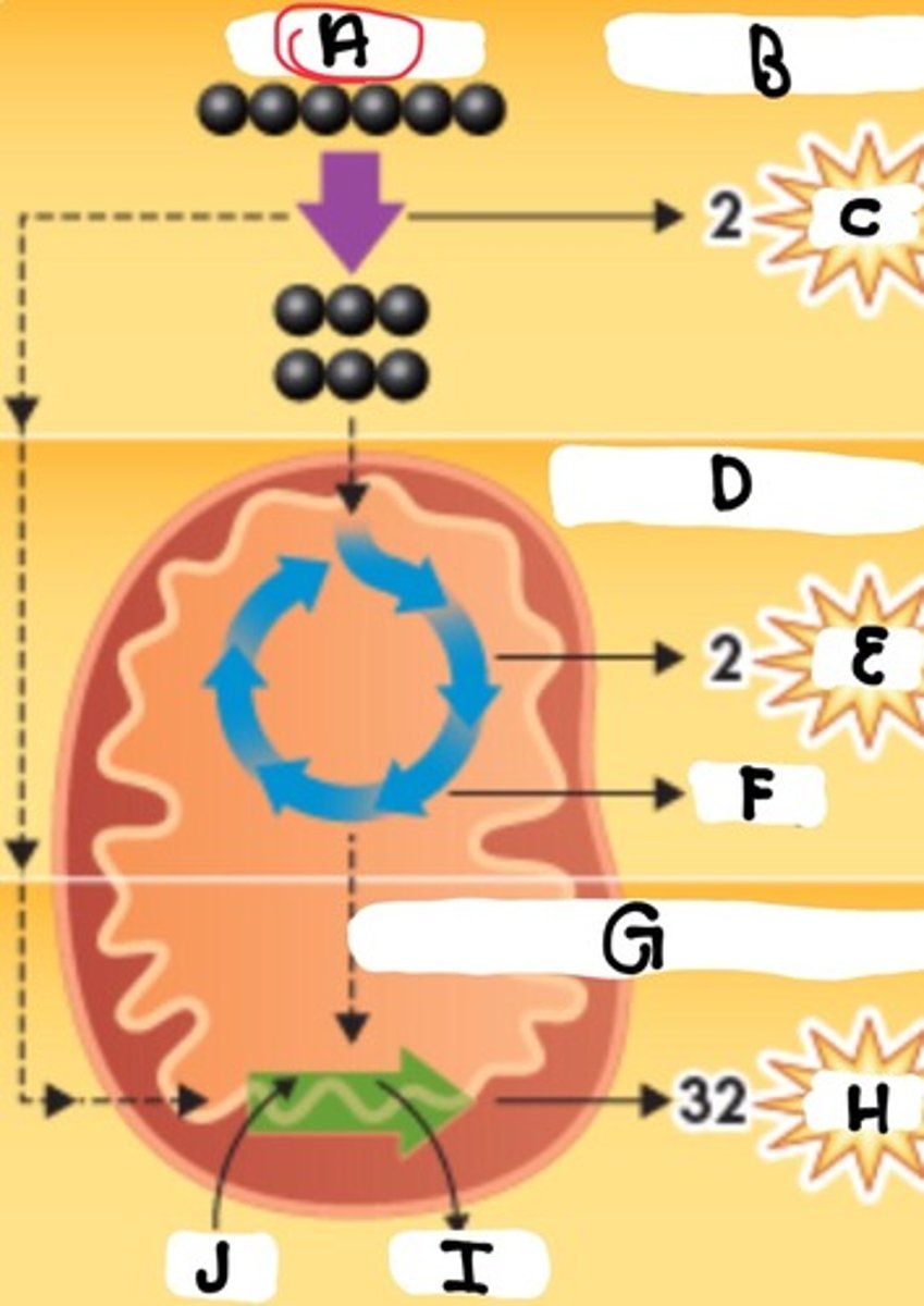 <p>What is part A</p>