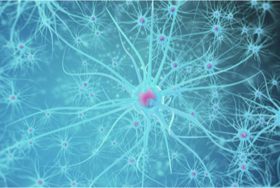 <p>What does this refer to</p><ul><li><p>Specific type of astrocytoma</p><ul><li><p>Grade 1 Astrocytoma</p></li></ul></li><li><p>Originates in glial cells</p></li><li><p>Type of glioma</p></li><li><p>Derived from astrocytes</p></li><li><p>Slow growing</p></li></ul><p></p>