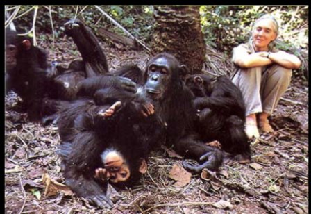 <p>NATURALISTIC OBSERVATION!!!</p><ul><li><p>careful monitoring and examination under natural circumstances&nbsp;</p></li><li><p>example: Dr. Jane Goodall’s long-term observation of chimpanzees in the forest&nbsp;</p><ul><li><p>recording their social organization and biological functioning&nbsp;</p></li></ul></li></ul><p></p>