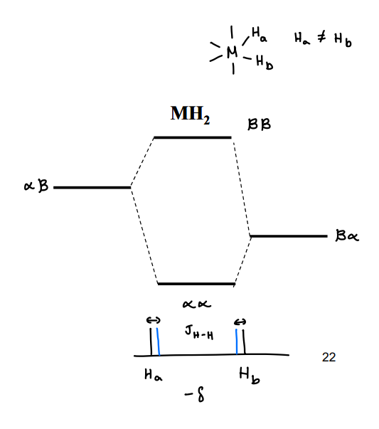 <p>When the para H<sub>2 </sub>reacts with a metal, it forms two seperate hydrogens that are no longer identical. This makes distinguishable.</p><ul><li><p>There will be two separate peaks in NMR, with a small spin-spin coupling constant.</p></li></ul><p></p>