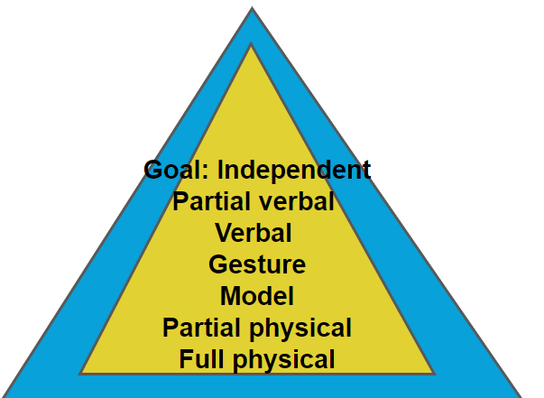 <p><span style="line-height: 0;"><span>When fading response prompts, we will first </span><strong><span>start with the least intrusive prompt</span></strong><span> that guarantees a correct response from the child. The therapist will only </span></span><span><span>increase intensity if the learner requires more assistance.</span></span><span style="line-height: 0;"><span> </span></span></p><p><span style="line-height: 0;"><span>The therapist will then fade the intensity of the prompt to reach Independence.</span></span></p>