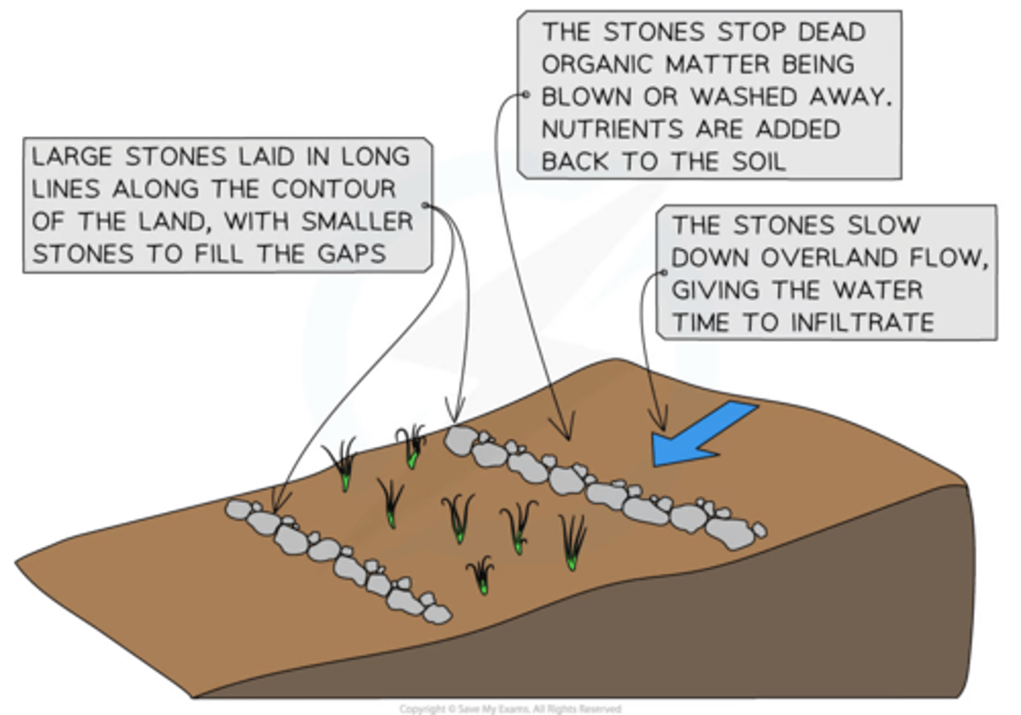 <p>Build lines to trap water and spread it out<br>Allows deposition of nutrient-rich soil</p>