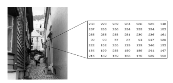 <ul><li><p>Each pixel is a shade of gray</p></li><li><p>Normally from 0 (black) to 255 (white). Each pixel can be represented by eight bits, or exactly one byte.</p></li><li><p>Other grayscale ranges are used, but generally are a power of 2. (22 = 4, 24 = 64)</p></li></ul><p></p><p>*only have one intensity value</p>