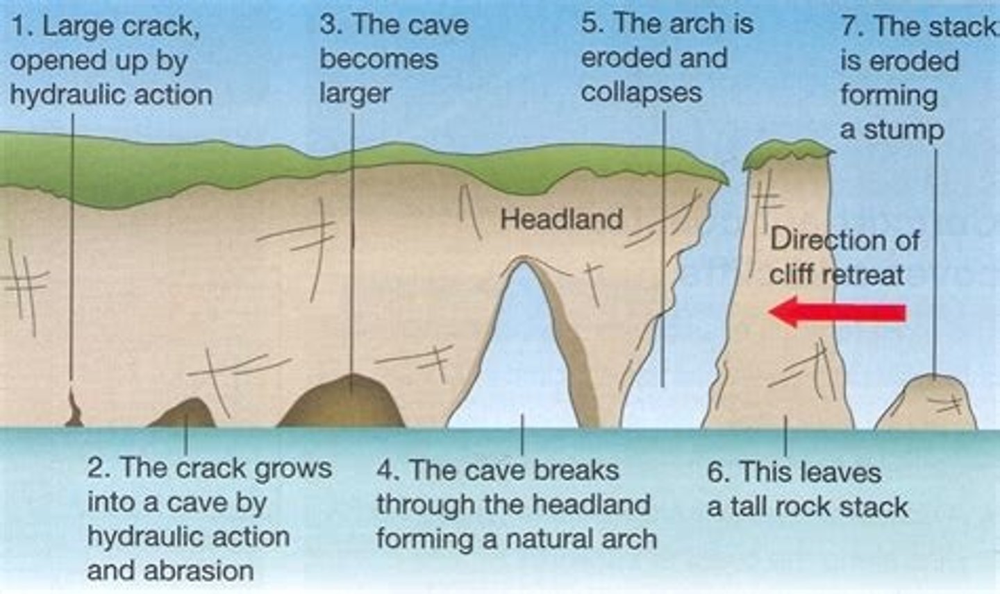 <p>. cracks are widened in the headland through the erosional processes of hydraulic action and abrasion</p><p>. waves continue to grind at the crack, it opens up to form a cave</p><p>. cave becomes larger, eventually breaks through headland to form an arch</p><p>. base of the arch becomes wider through erosion until its roof collapses into the sea, leaving a stack </p><p>. stack is undercut at the base until it collapses to form a stump</p>
