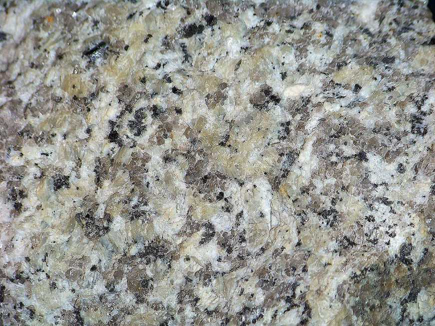 <p>Granit - magmowe</p>