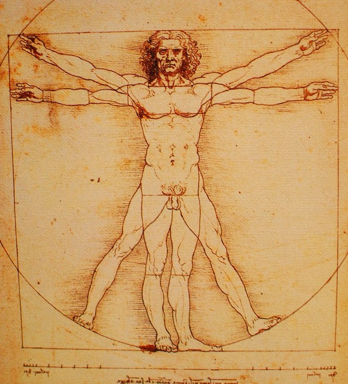 famous drawing by Leonardo DaVinci