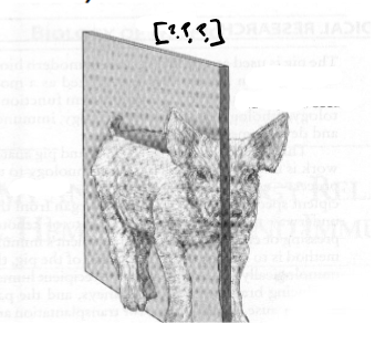 <p>What is this plane?</p>