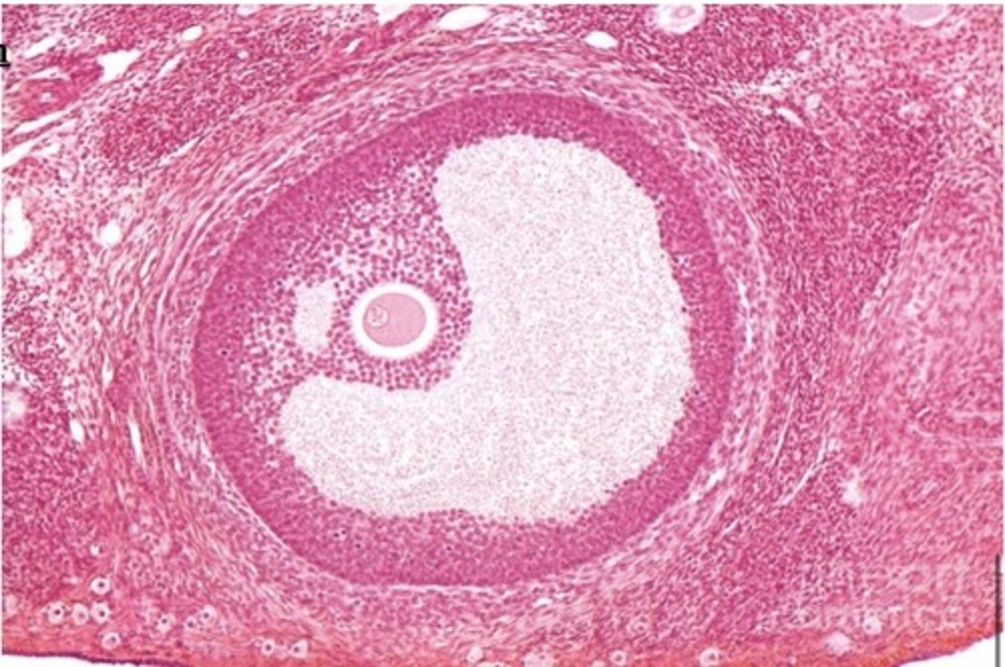 <p>What is shown?</p>