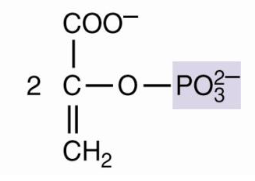 <p>PEP</p>