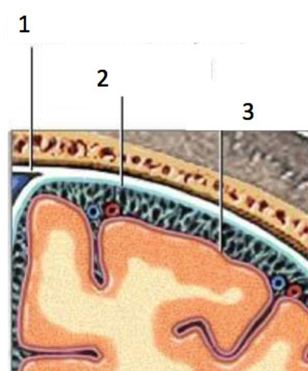 <p>2</p>