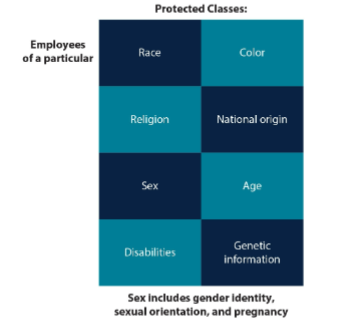 <p>individuals of underrepresented races, women, older people, and individuals with disabilities who are covered by federal laws on equal employment opportunity</p>