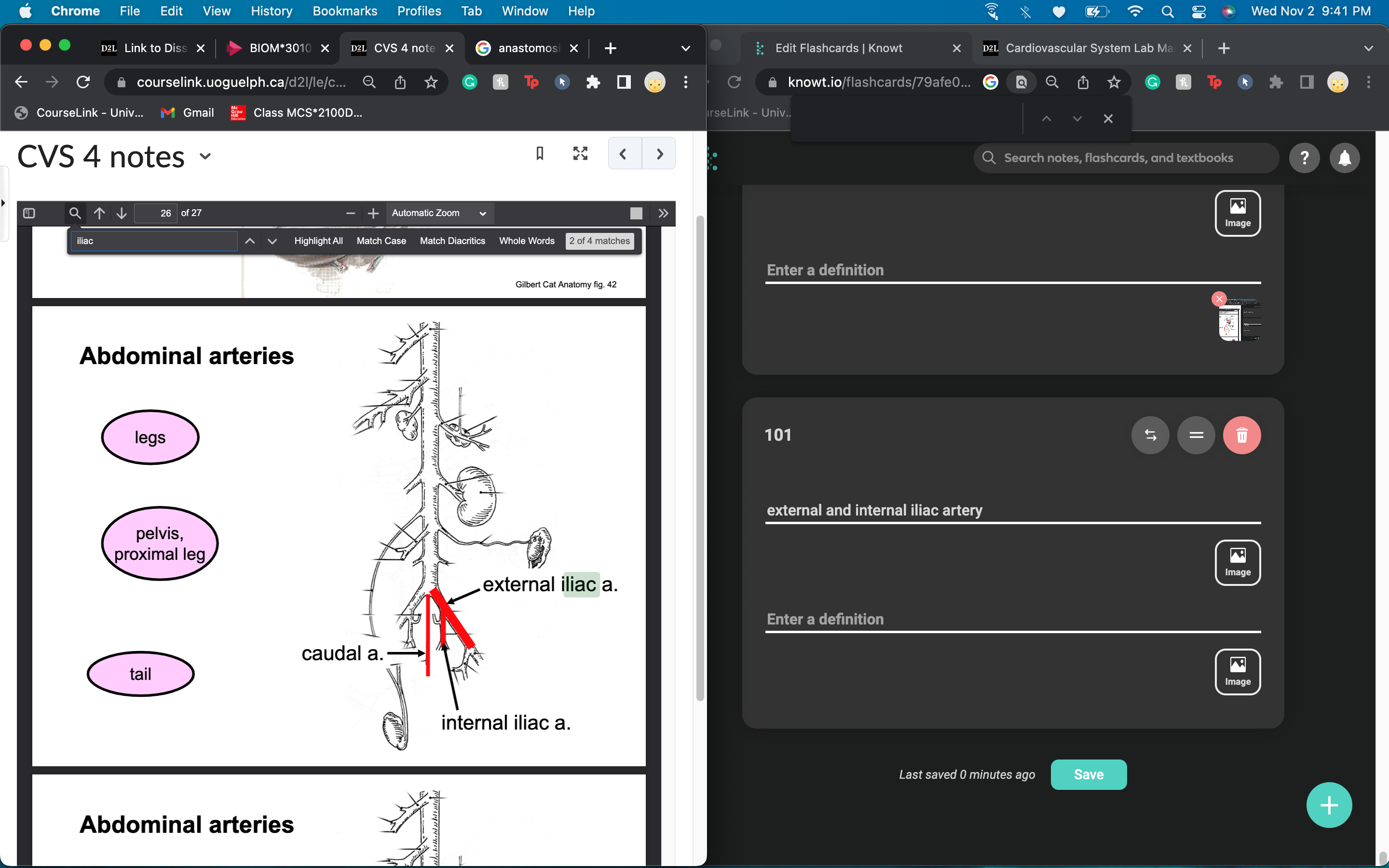 external and internal iliac artery