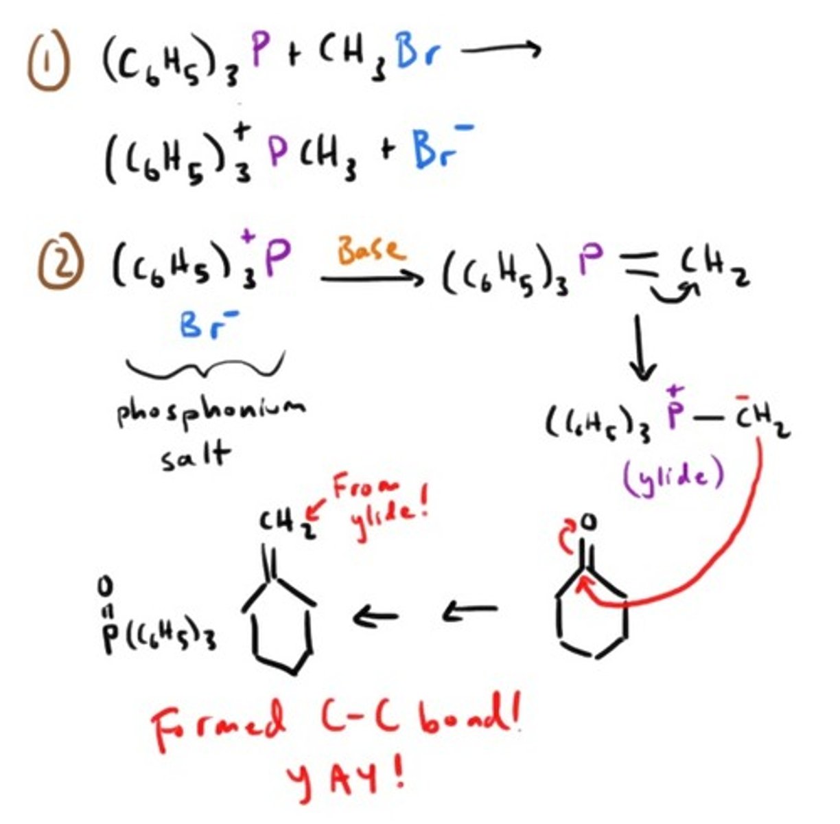 <p>The goal is to make CARBON-CARBON double bonds by converting aldehydes and ketones into alkenes.</p>