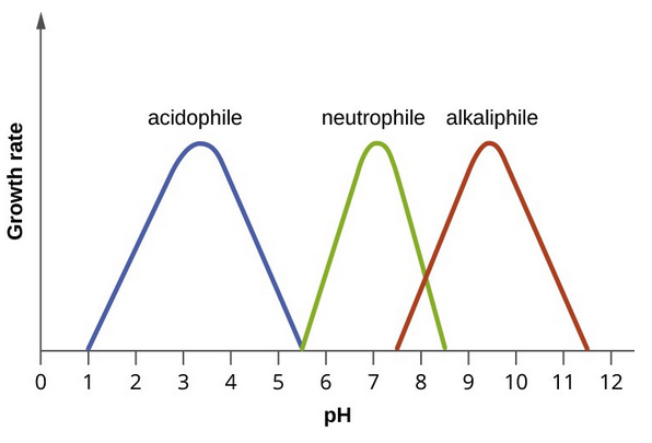 <p>Bacterium with optimum growth near neutral pH (approximately pH 6–8).</p>