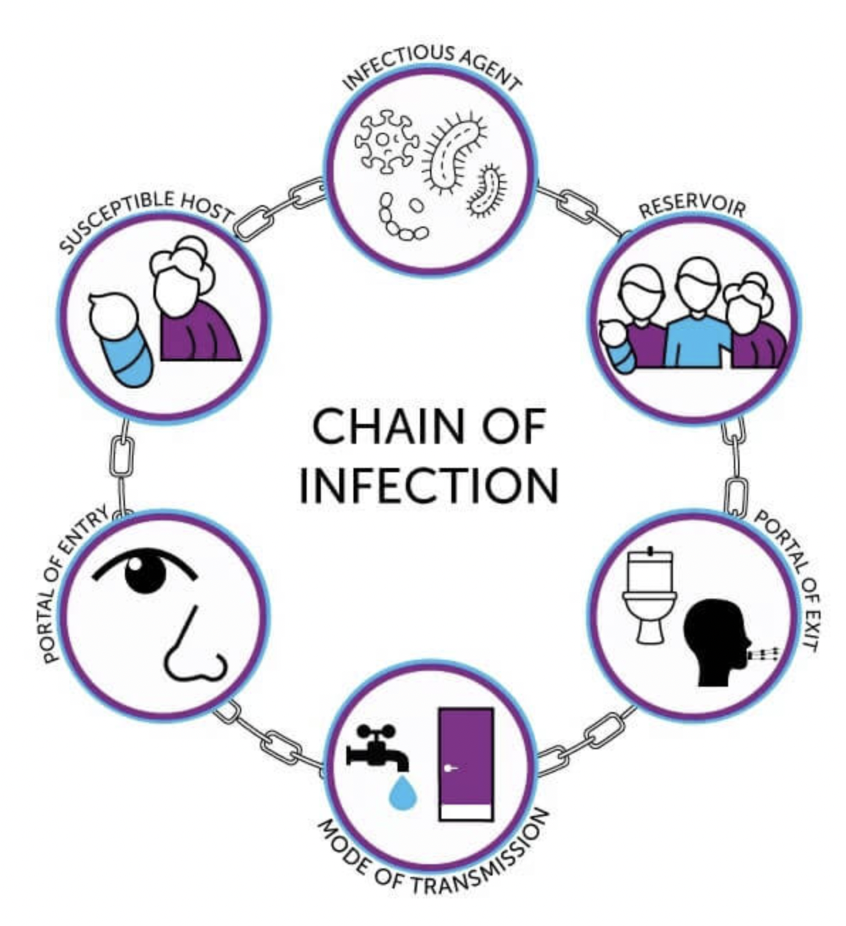 <ul><li><p><span><strong>Infectious Agent</strong> (any microorganism)</span></p></li><li><p><span><strong>Reservoir</strong> (where it hangs out/live; in the soil, water, animals)</span></p></li><li><p><span><strong>Portal of Exit</strong> (from the water supply contaminated food, sneezing, coughing)</span></p></li><li><p><span><strong>Mode of Transmission </strong>(transmit to the next host; contact, blood, contaminated food and water, inhalation, transplacental)</span></p></li><li><p><span><strong>Portal of Entry</strong> (how does it go into the next person; eye, nose, mouth, skin/cuts)</span></p></li><li><p><span><strong>Susceptible Host </strong>(cause the disease itself)</span></p></li></ul><p></p>