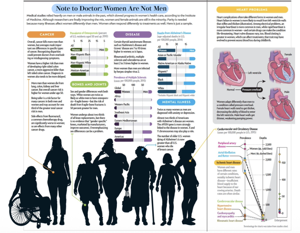 <ul><li><p>Important to discuss biological sex differences for purpose of representation</p><ul><li><p>Women are not just smaller men → research is not translatable</p></li><li><p>Studying women is crucial for diagnosis and treatment → pathologies differ (ex. heart attack)</p></li></ul></li></ul><p></p>