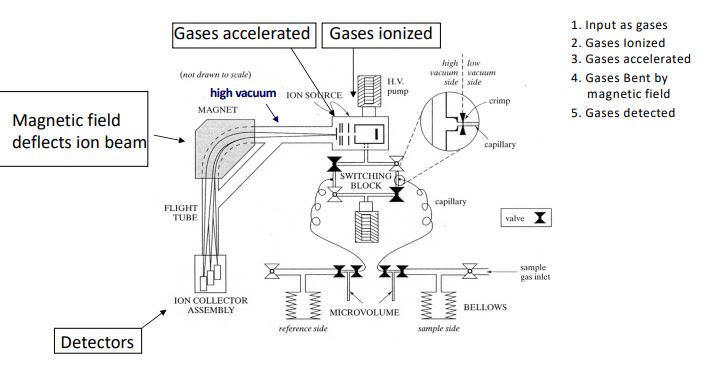 <p>isotopes are measured as ratios of two isotopes by various kinds of detectors. Standards are run frequently to correct for instrument stability</p>