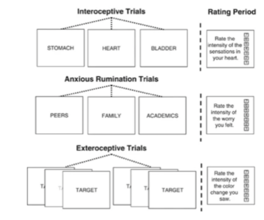 <p><em>Most interoceptive differences seem focused on the gastric system → are heartbeat monitoring tasks indicative of all interoception? Should other tasks be used in relation to AN?</em></p><p>What did Kerr et al (2016) find in weight restored (recovered) AN patients who completed an interoceptive attention task which focused on sensations in their heart, stomach and bladder. Followed by anxious rumination phase and exteroceptive trial?</p>