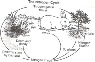 <p>(top-bottom/left-right)</p>