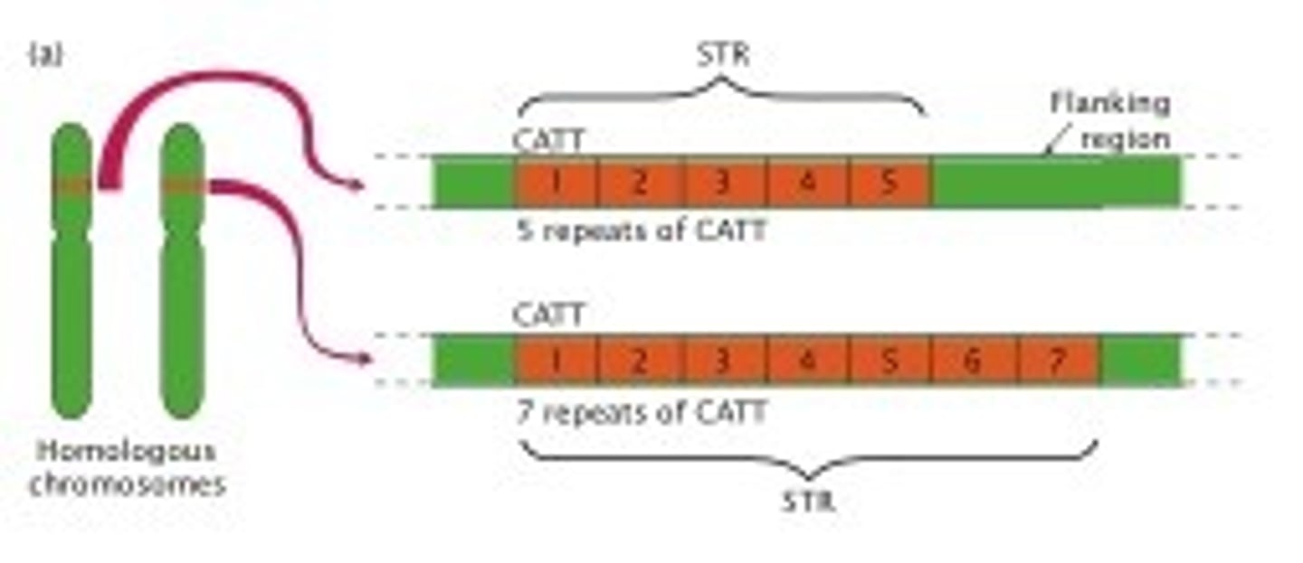 <p>usually located in non-coding regions of the genome rather than within genes.</p>