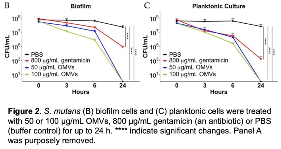 <p>step 1: <span>Wanted to look at anti-biofilm activity (Cultures were already grown before the experiment)</span></p><p></p><p></p>