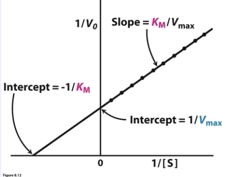<p>It is a plot of 1/V<sub>o</sub> vs. 1/[S]. It has a linear shape because the Lineweaver-Burk equation—1/V<sub>o</sub>=(K<sub>M</sub>/V<sub>max</sub>)*(1/[S])+(1/V<sub>max</sub>)—follows the y=mx+b format of linear functions.</p><p>X-intercept → -1/K<sub>M</sub></p><p>Y-intercept → 1/V<sub>max</sub></p><p>Slope → K<sub>M</sub>/V<sub>max</sub></p>