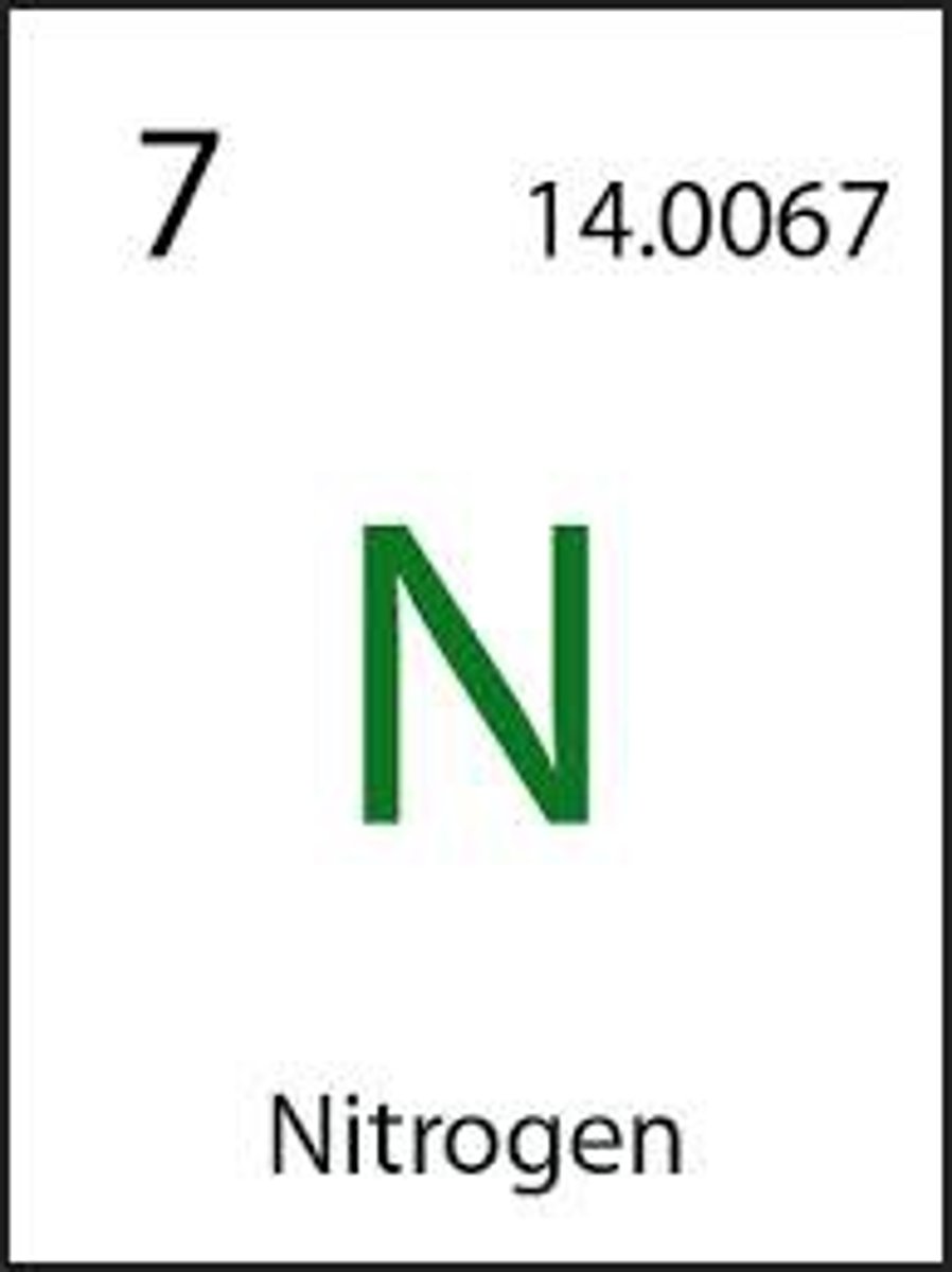 <p>Nitrogen</p>