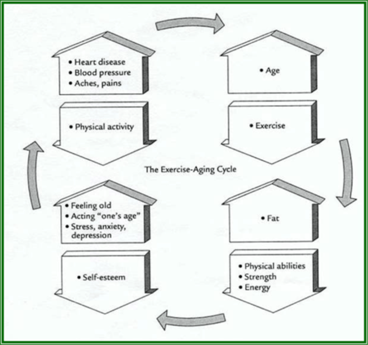 <p>as age increases --&gt; exercises decreases</p><p>As fat increases --&gt; physical ability, strength, and energy decrease</p><p>As feeling old, acting "one's age", and stress, anxiety and depression increase --&gt; self-esteem decreases</p><p>As heart disease, blood pressure, and aches &amp; pains increase --&gt; physical activity decreases</p>