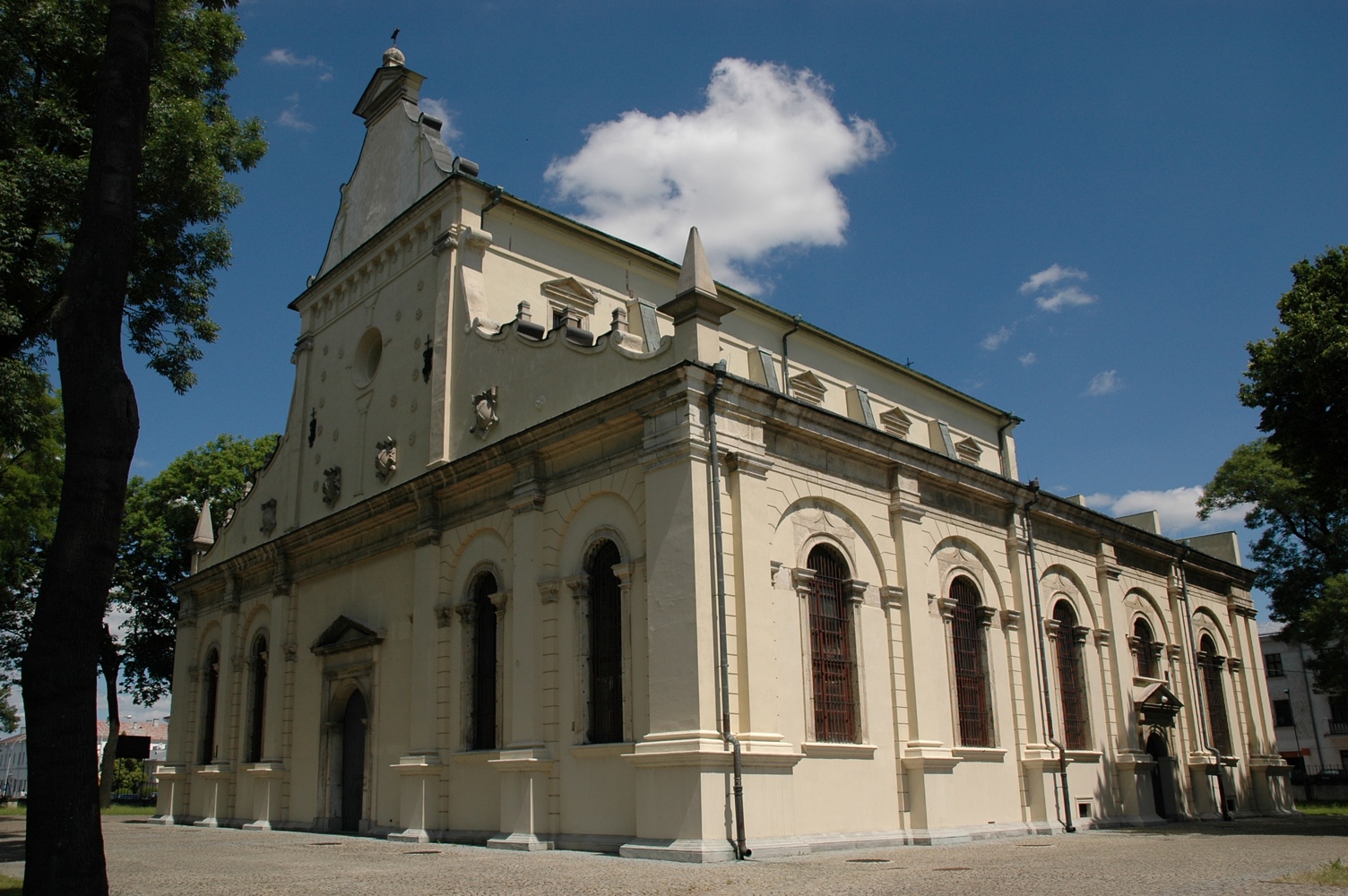 term image