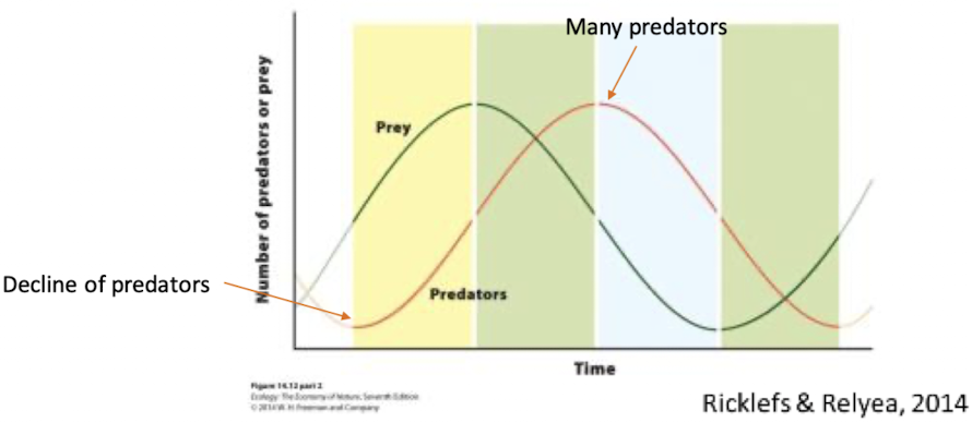 <p>what does this figure illustrate</p>