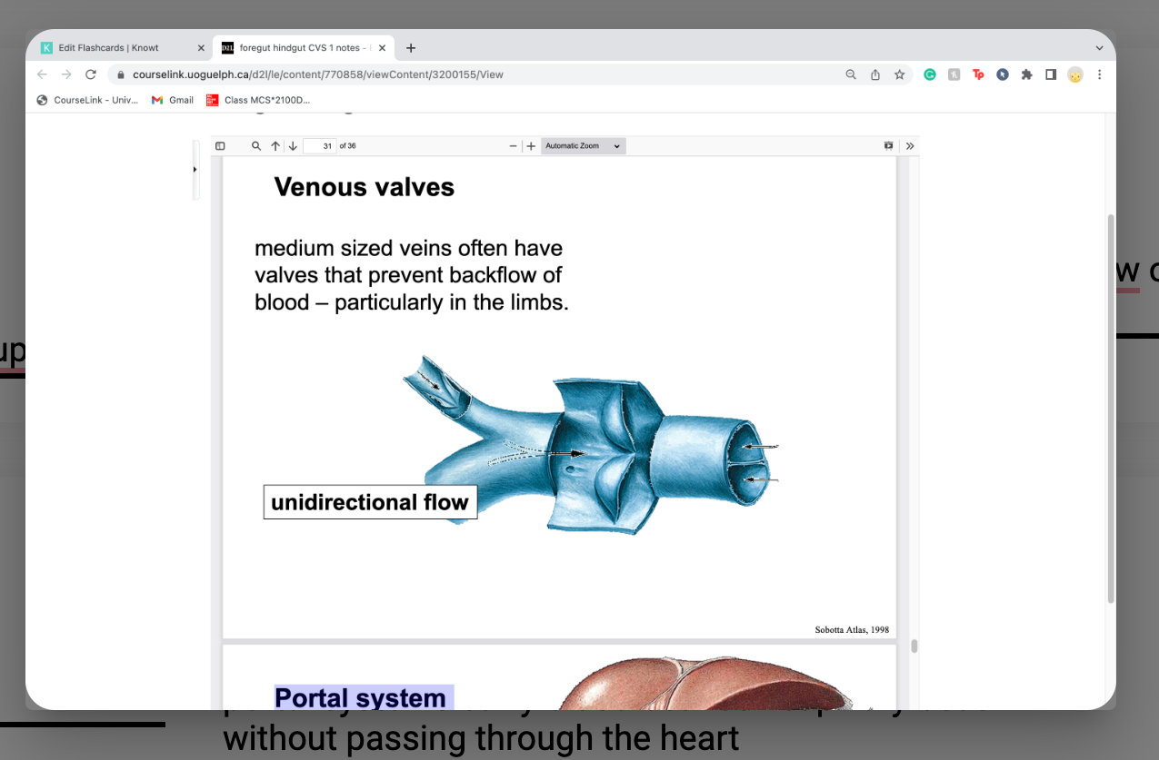 unidirectional
 
medium sized veins often have valves that prevent backflow of
blood – particularly in the limbs.