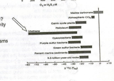 <p><strong>What does the chart at right indicate about methane?</strong></p><p>a) That it is primarily produced as the result of biological activity<br>b) That it is primarily not produced by biological activity<br>c) That it is produced both biologically and abiotically<br>d) That its initial production pre-dates the rise of microorganisms</p>