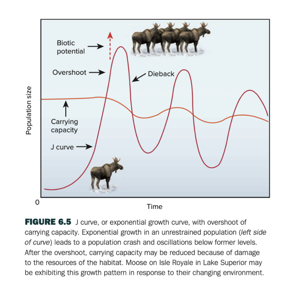 <p>Fig 6.5: What happens to the carrying capacity in this graph and why?</p>