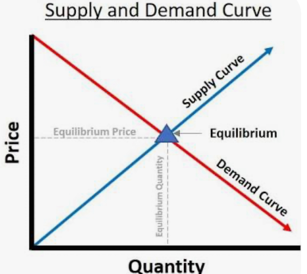 <p><span style="color: rgb(0, 29, 53)">by finding the point where the quantity demanded equals the quantity supplied. This point, where the supply and demand curves intersect, determines both the equilibrium price and quantity in the market</span></p>