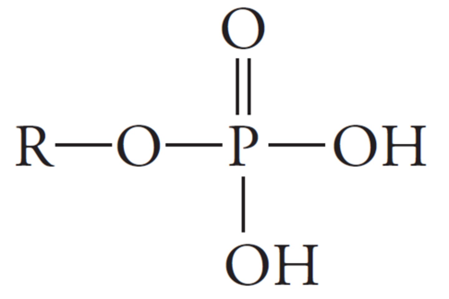 <p>phosphorus atom bonded to four oxygen atoms, where one of those oxygen atoms is also bonded to another atom.</p><p>ex DNA</p>