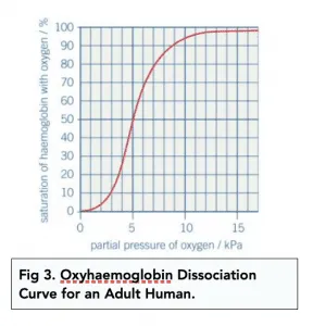 <ul><li><p><strong>The partial pressure of oxygen is a measure of oxygen concentration. </strong><span><strong>Partial pressure </strong></span>is measured in <span><strong>kilopascal</strong></span> (kPa).</p></li><li><p><strong>The greater the concentration of dissolved oxygen in a cell, the greater the partial pressure.</strong></p></li><li><p><strong>Haemoglobin has different affinities for oxygen depending on its partial pressure. </strong>Haemoglobin will readily associate more tightly with oxygen if the partial pressure of oxygen is high and will readily dissociate with oxygen if the the partial pressure of oxygen is low. These two processes are known as loading and unloading.</p></li><li><p><strong>The process of respiration uses up oxygen.</strong> This decreases partial pressure, in turn decreasing affinity of oxygen for haemoglobin. As a result, oxygen gets released to respiring tissues where needed.</p></li><li><p><strong>Oxyhaemoglobin dissociation curves are S-shaped. </strong>They show the relationship between the partial pressure of oxygen and the saturation of haemoglobin with oxygen.</p></li><li><p><strong>Saturation can have an effect on affinity.</strong></p></li></ul><p></p>
