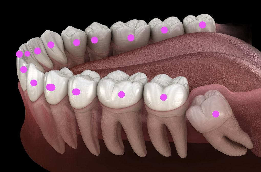 knowt flashcard image