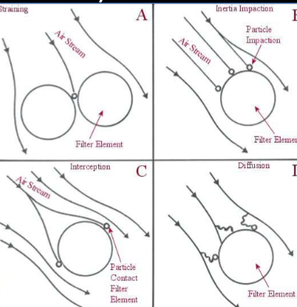 <p>Straining, inertia impaction, interception, and diffusion</p>