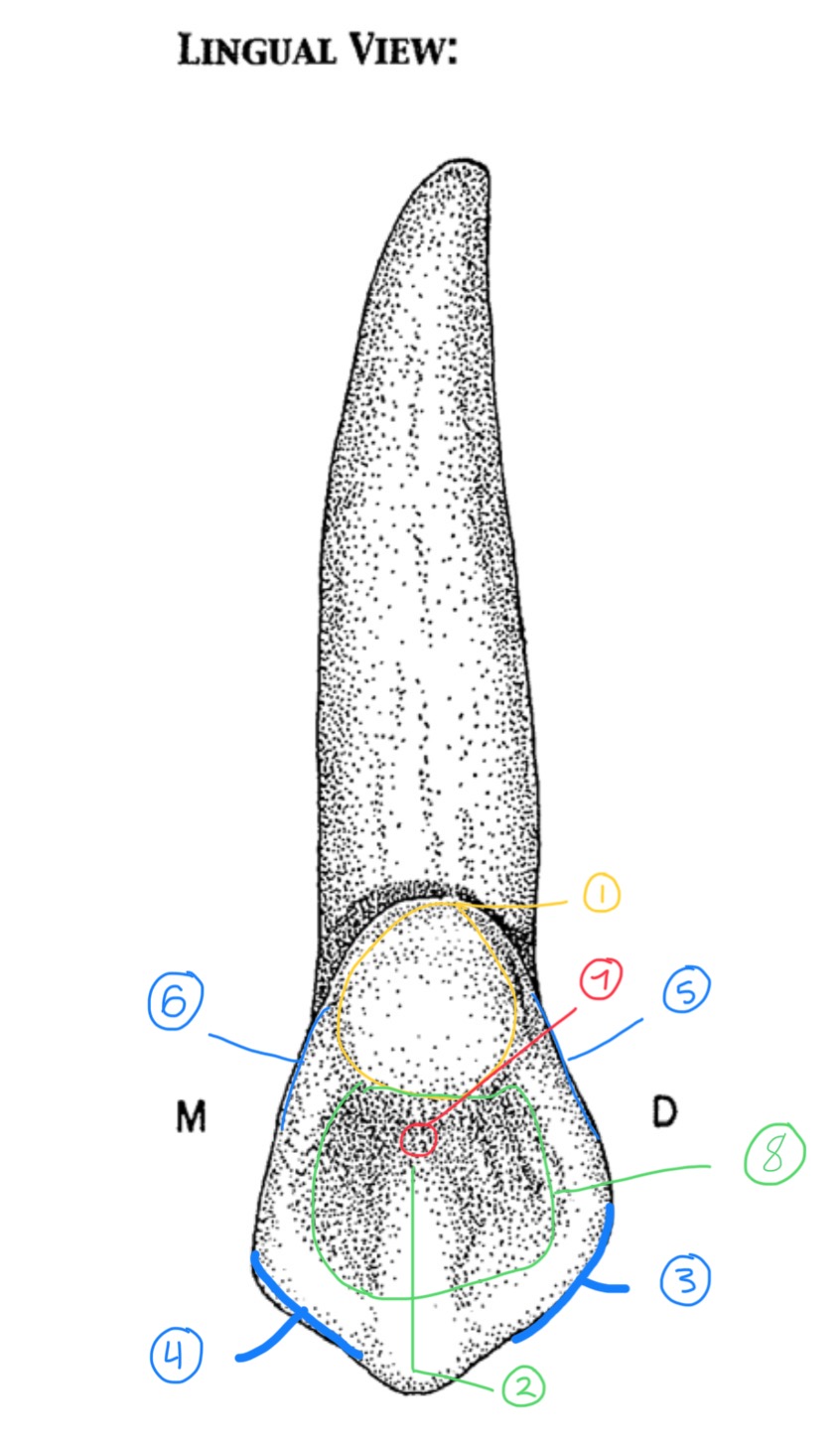 <p>Name #5</p>