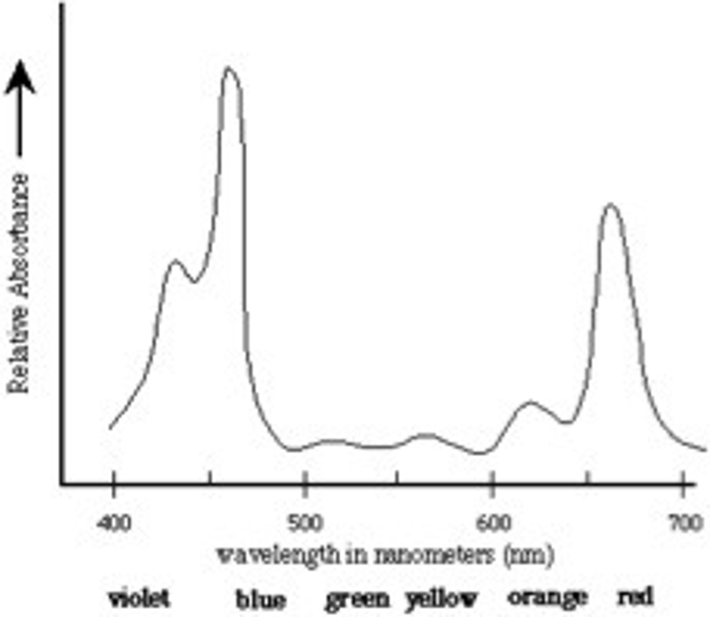 <p>The range of a pigment's ability to absorb various wavelengths of light.</p>