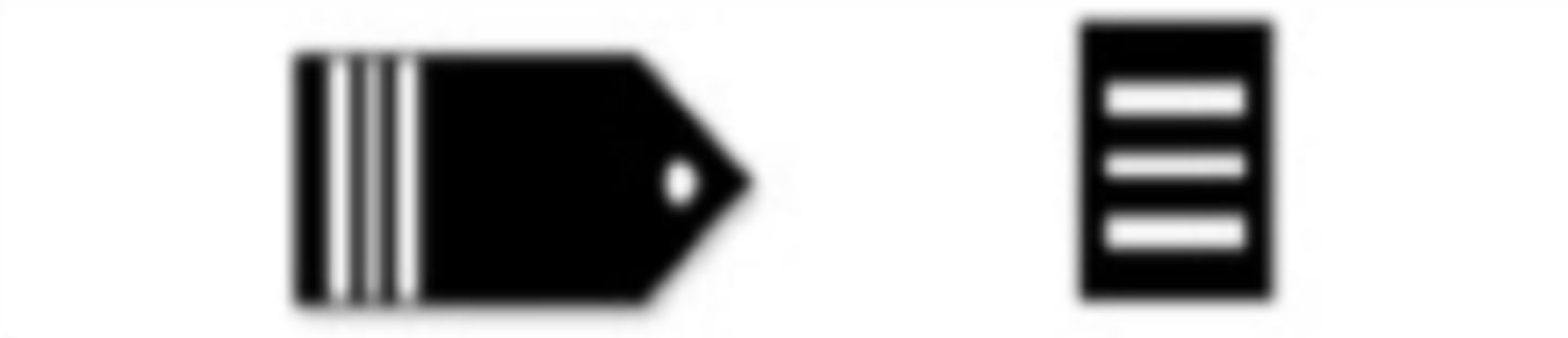 <p>What is this Cadet Rank?</p>