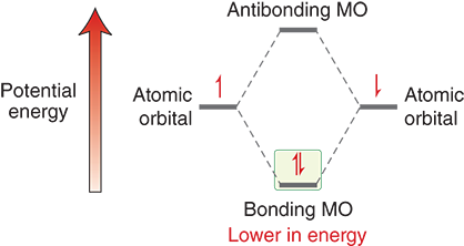 <ul><li><p>Electrons achieve a lower energy state when they occupy a bonding molecular orbital rather than when they are isolated or in nonbonding/anti-bonding orbitals</p></li><li><p>Bond formation is favorable in lower energy states</p></li></ul><p></p>
